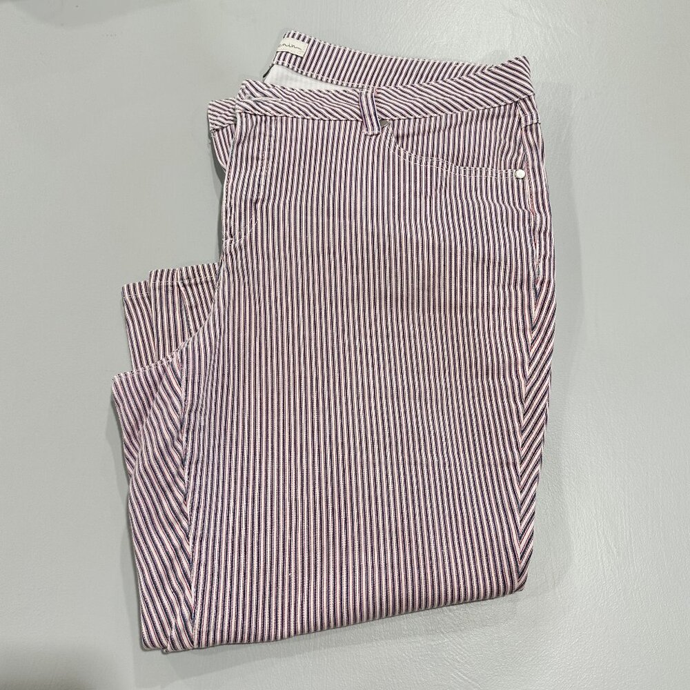 18W Striped Crop Pants